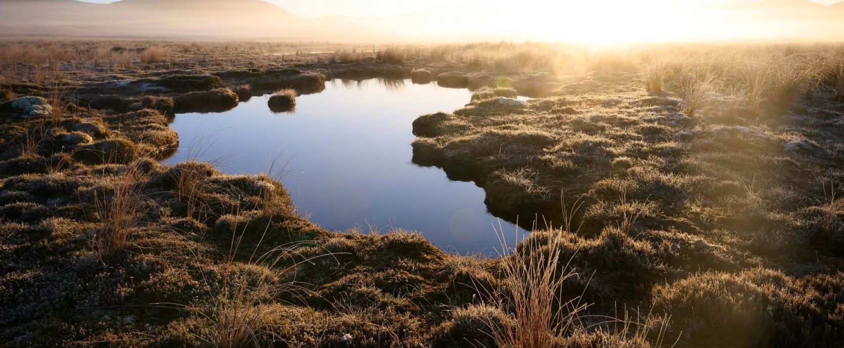 Malcolm McRae   A tarn in the morning mist at 1000 Acre Plateau